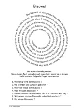 Blauwal.pdf